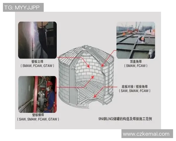 赛后分析：LNG与V5的耐力较量揭示了团队韧性与策略的重要性